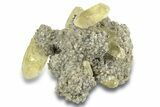 Yellow Calcite and Galena on Dolomite - Missouri #252145-1